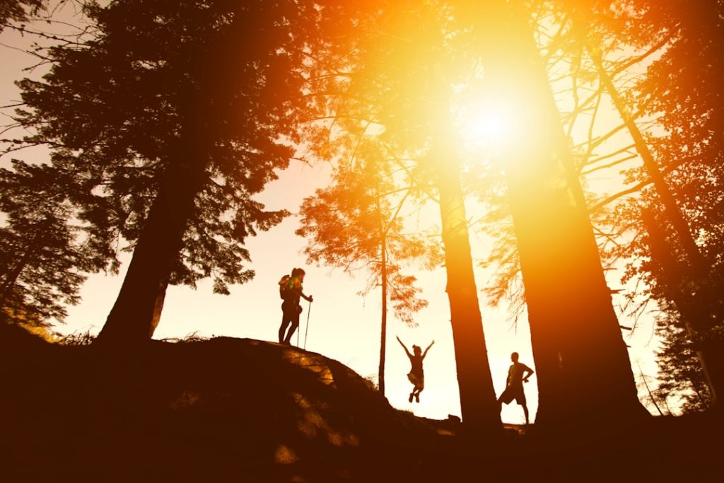 découvrez les meilleurs conseils, itinéraires et équipements pour profiter pleinement de la randonnée. explorez des sentiers magnifiques et vivez l'aventure en pleine nature !