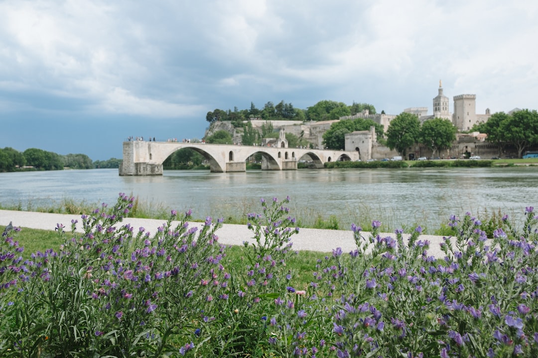 découvrez un itinéraire de voyage complet à avignon pour explorer ses sites historiques, culturels et gastronomiques incontournables en un séjour mémorable.