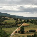 photo-aerienne-dun-champ-dherbe-verte-ki-Df4vZCW8